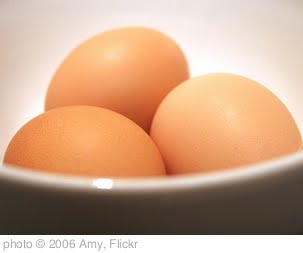 'Eggbowl' photo (c) 2006, Amy - license: http://creativecommons.org/licenses/by-nd/2.0/