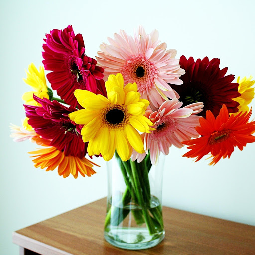 Hd-171981-ascw171981