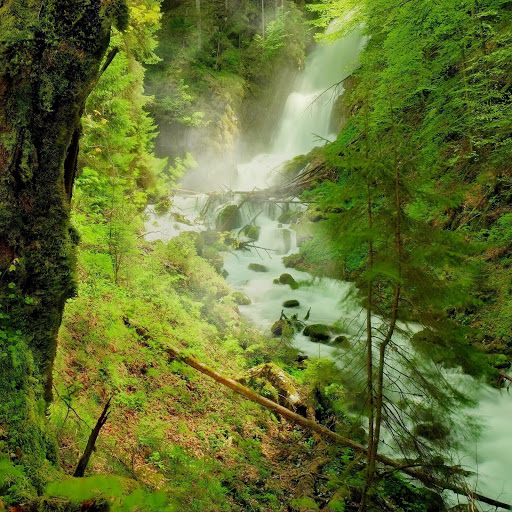 Hd-164669-ascw164669