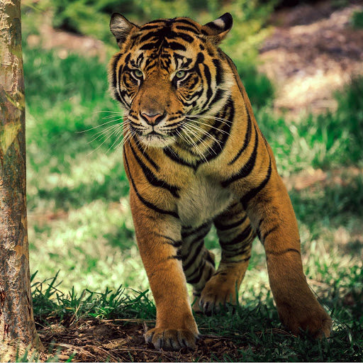 Hd-176761-ascw176761