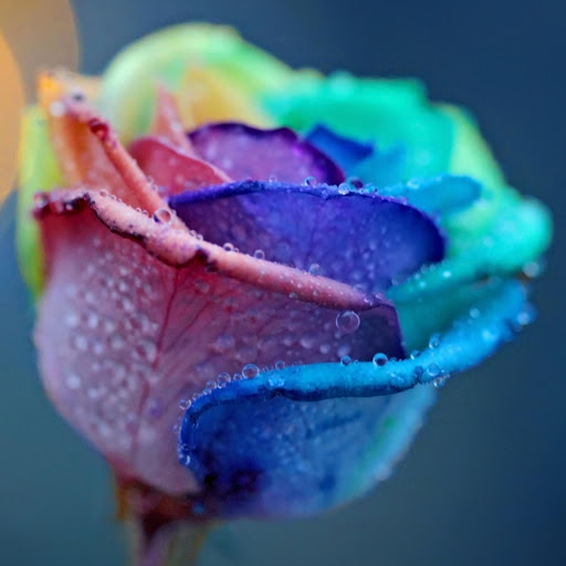 Hd-171382-ascw171382