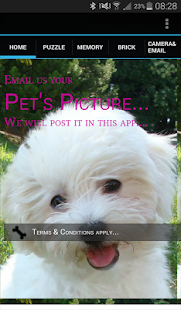 Free Post My Cute Pets APK for PC