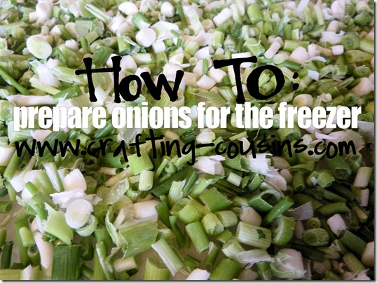 How to prepare green onions for the freezer.  Tips from the Crafty Cousins.