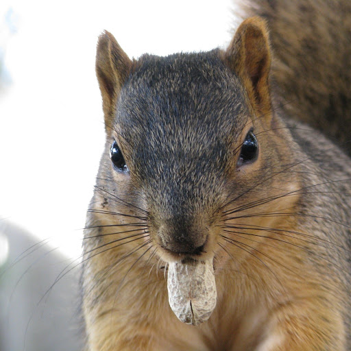 Hd-170602-ascw170602