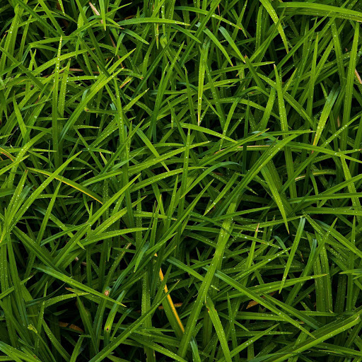 Hd-165764-ascw165764