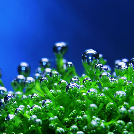 Hd-146336-ascw146336