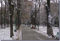 Bishkek_winter_street