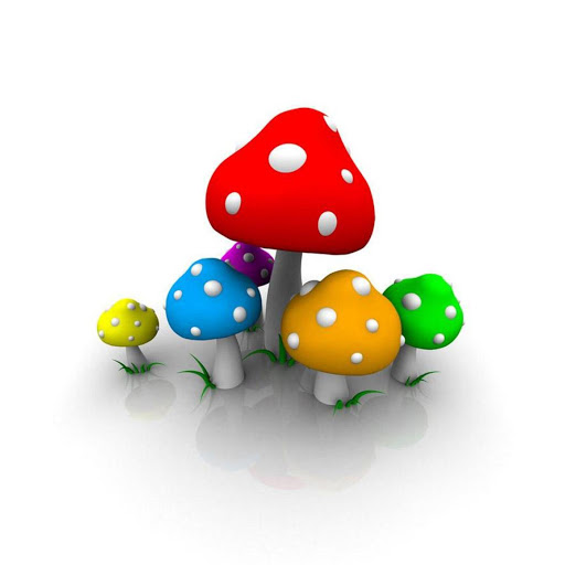 Hd-132312-ascw132312