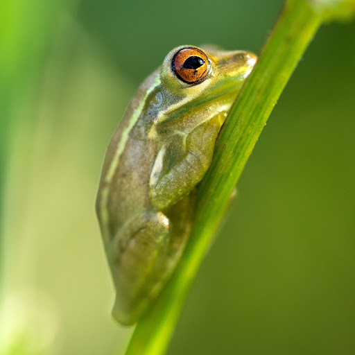 Hd-174457-ascw174457