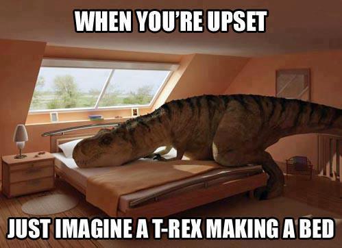 Here Are A Few Things That Make Me Chuckle Props To Whomever Was Clever Something That Makes Me Smile Without Fail Here Are A Few Things That Make Me Chuckle Props To Whomever Was Clever Something That Makes Me Smile Without Fail