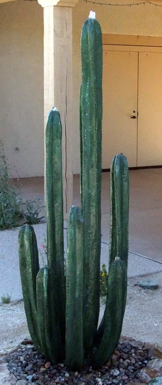 [Cactus-fountain-4-29-2013-9-44-01-AM.jpg]