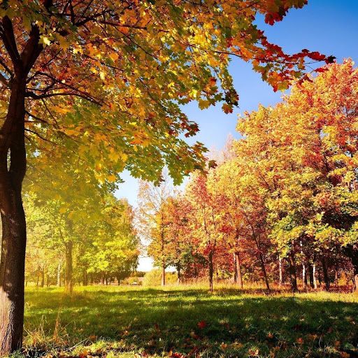 Hd-139965-ascw139965