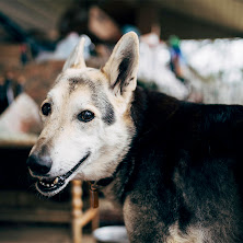 380389-pentax-645z-sample-image.jpg