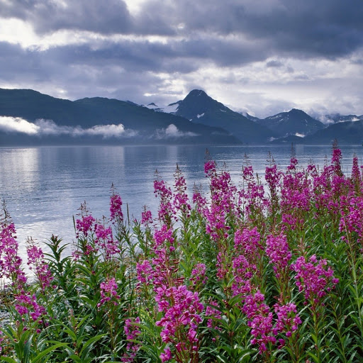 Hd-142942-ascw142942