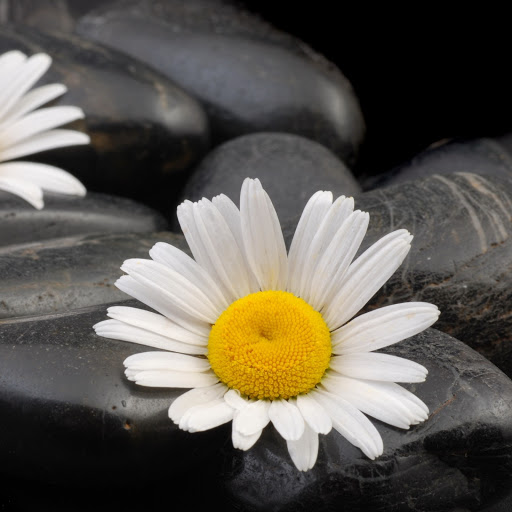 Hd-161987-ascw161987