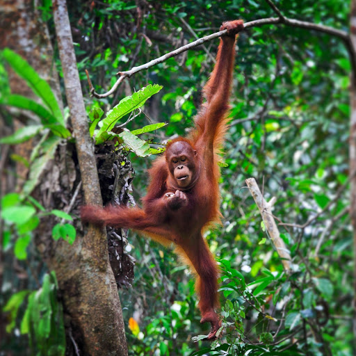 Hd-163742-ascw163742