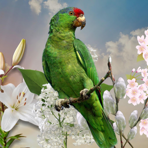 Hd-178530-ascw178530