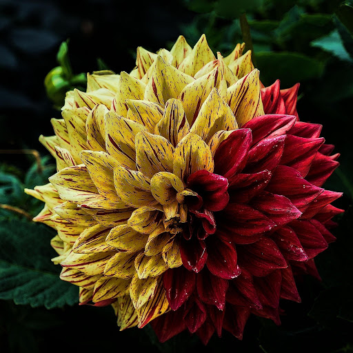 Hd-175621-ascw175621