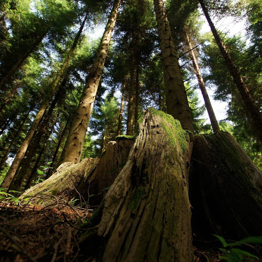 Hd-140124-ascw140124