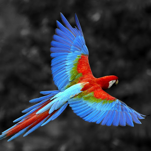 Hd-177824-ascw177824