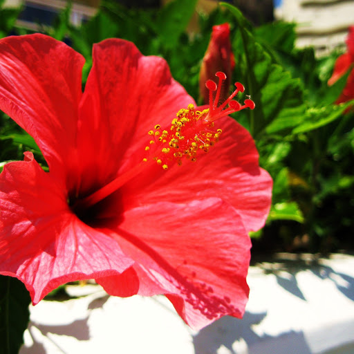 Hd-174120-ascw174120