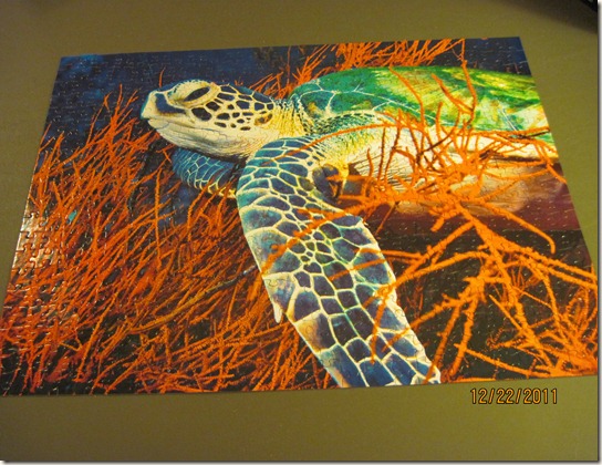 turtle puzzle 001
