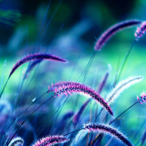 Hd-164297-ascw164297