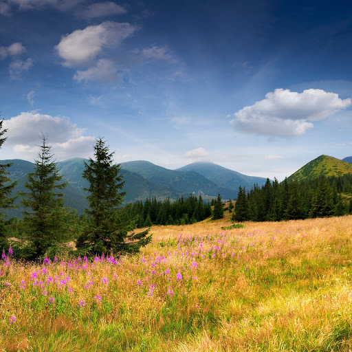 Hd-154110-ascw154110