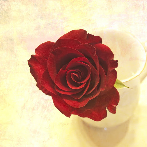 Hd-175471-ascw175471