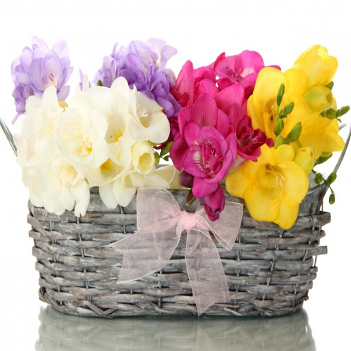 Hd-170338-ascw170338