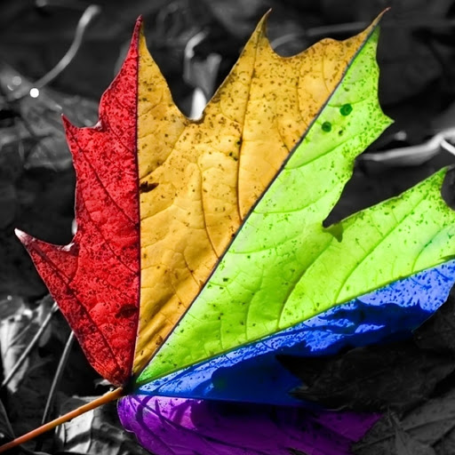 Hd-181132-ascw181132