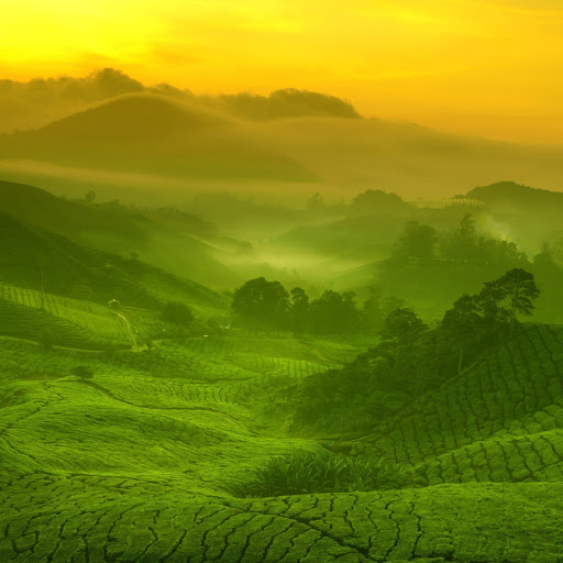 Hd-174373-ascw174373