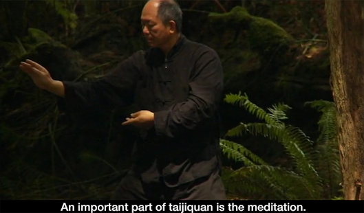 Yang Tai Chi for Beginners 2&3(圖3)-速報App