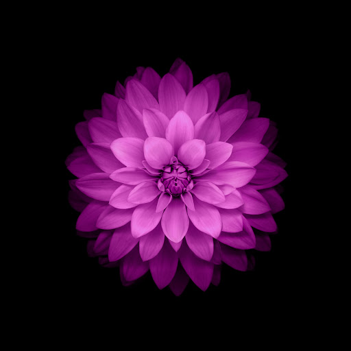 Hd-150335-ascw150335