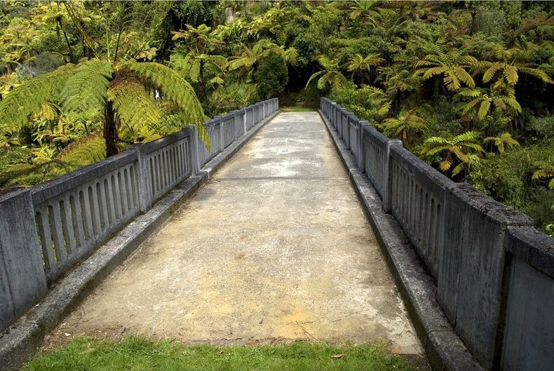 whanganui-bridge-nowhere-3