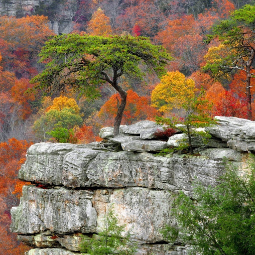 Hd-132074-ascw132074