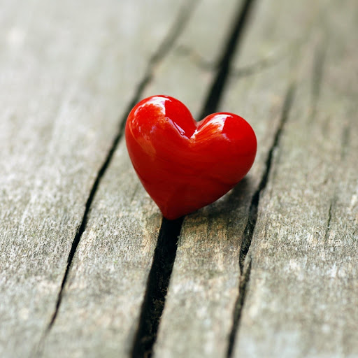 Hd-175108-ascw175108