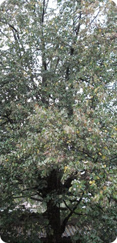 DSC06751 DSC06751