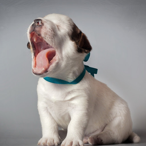 Hd-181535-ascw181535