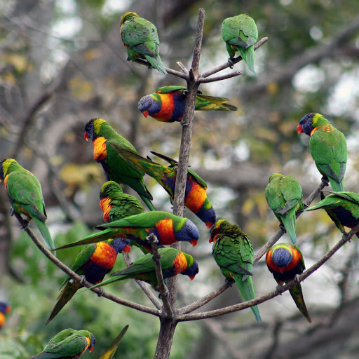 Hd-174285-ascw174285