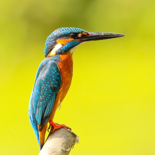 Hd-178898-ascw178898