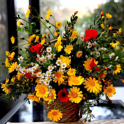 Hd-177929-ascw177929