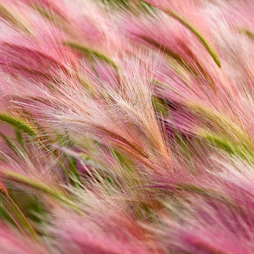 Hd-166193-ascw166193