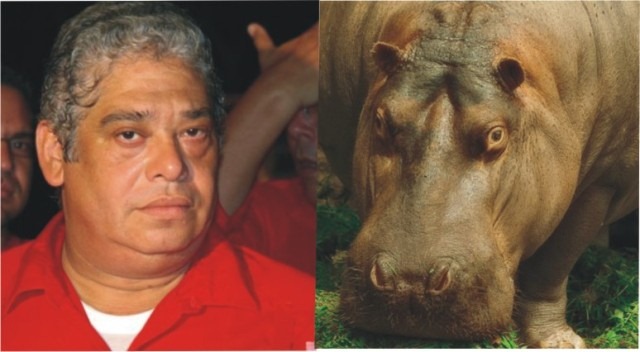 [15.jpg%25280%2529%255B2%255D.jpg]