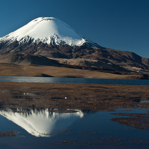 Hd-161550-ascw161550