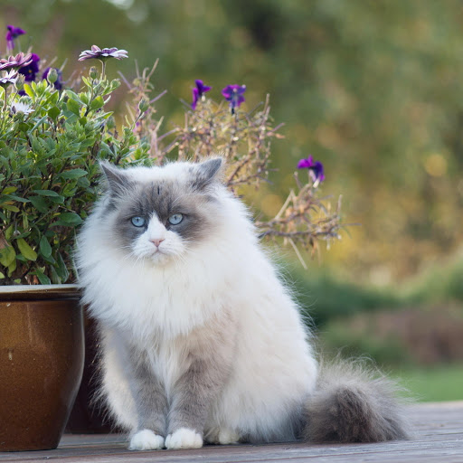 Hd-156653-ascw156653