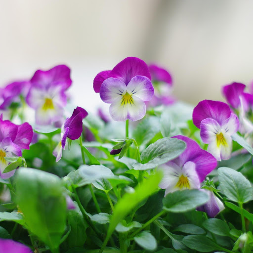 Hd-171849-ascw171849