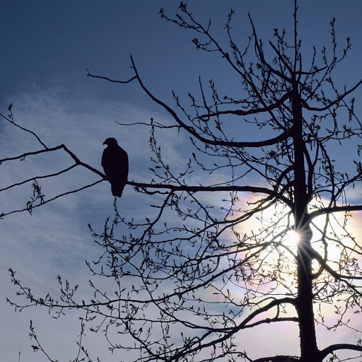 Hd-160943-ascw160943