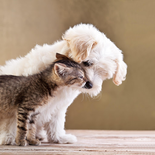 Hd-157185-ascw157185