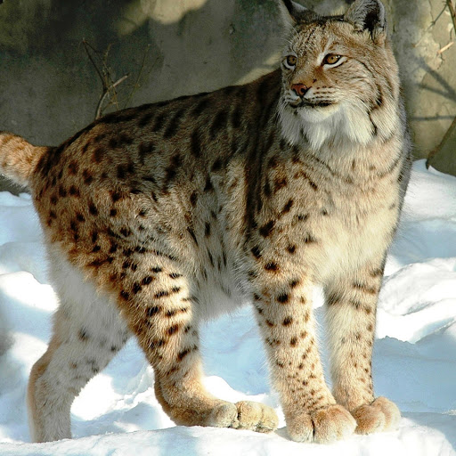 Hd-163235-ascw163235